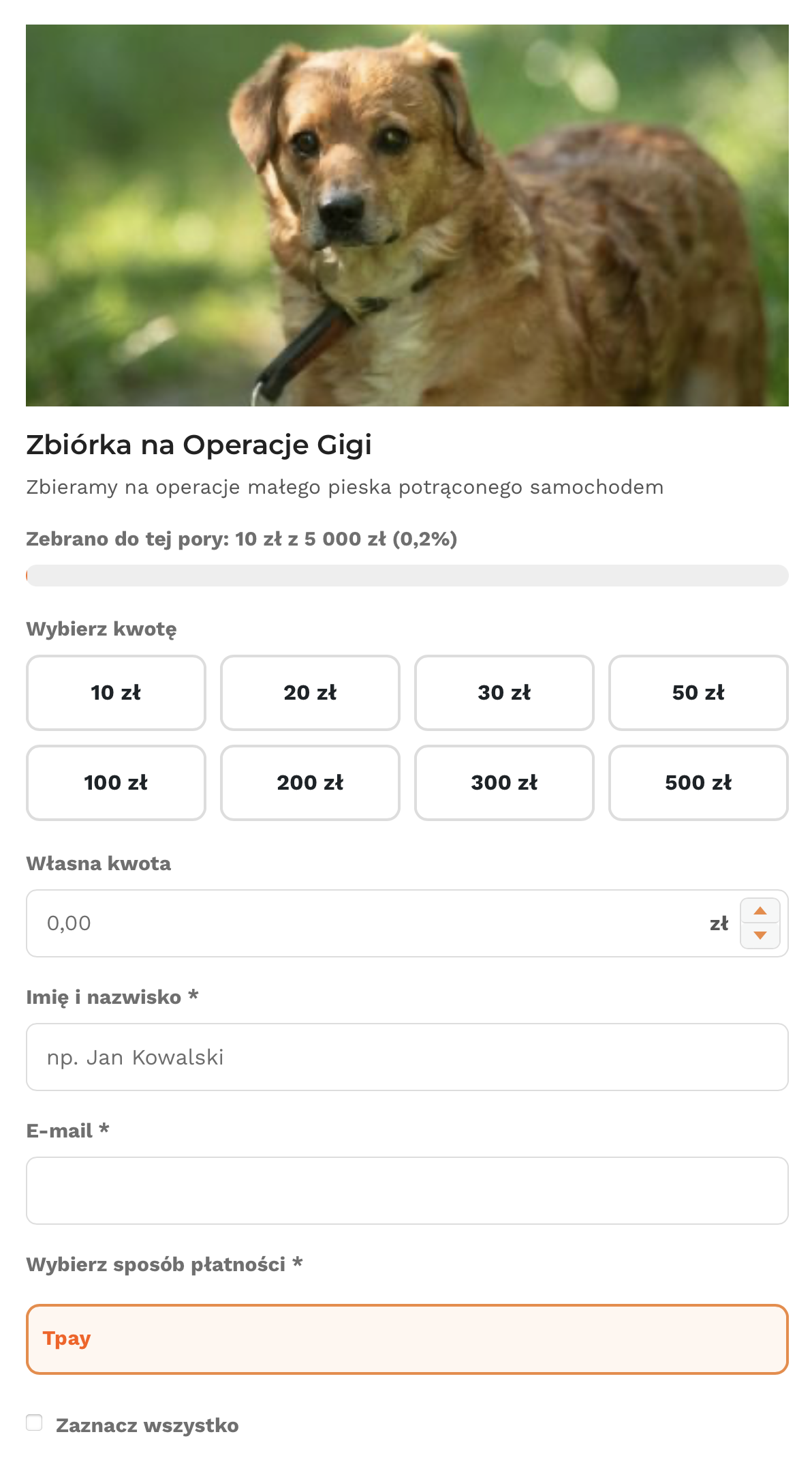Wtyczka Wordpress - Podaruj Serce - obrazek 3